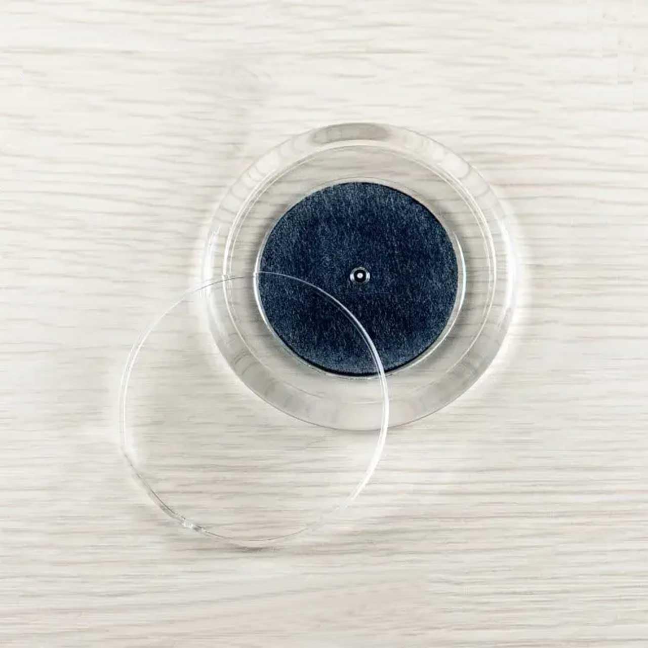 ハメパチ マグネット 丸 54mm 磁石付き 冷蔵庫に貼れる 手作りフォトフレーム マグネットプレート アクリル はめ込み式 日本製